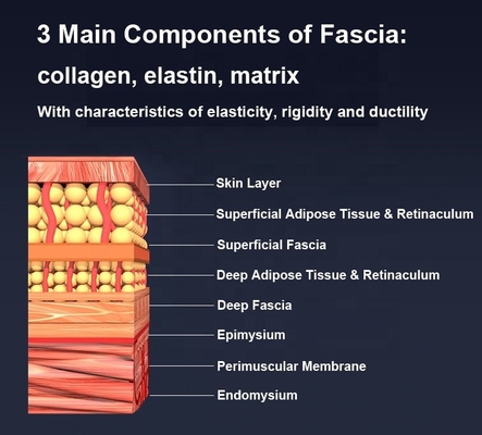 Oplaadbaar IASTM-schraperinstrument voor lichaamspijnverlichting met verwarmd fascia mes 335g Duurzaam
