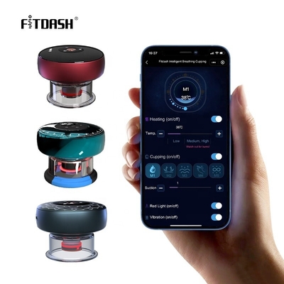 Antirheumatische functie Fitdash Moxibustion Therapy Elektrisch bekkenapparaat